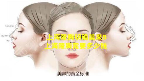 上海隆胸明确美来8 上海隆胸需要多少钱
